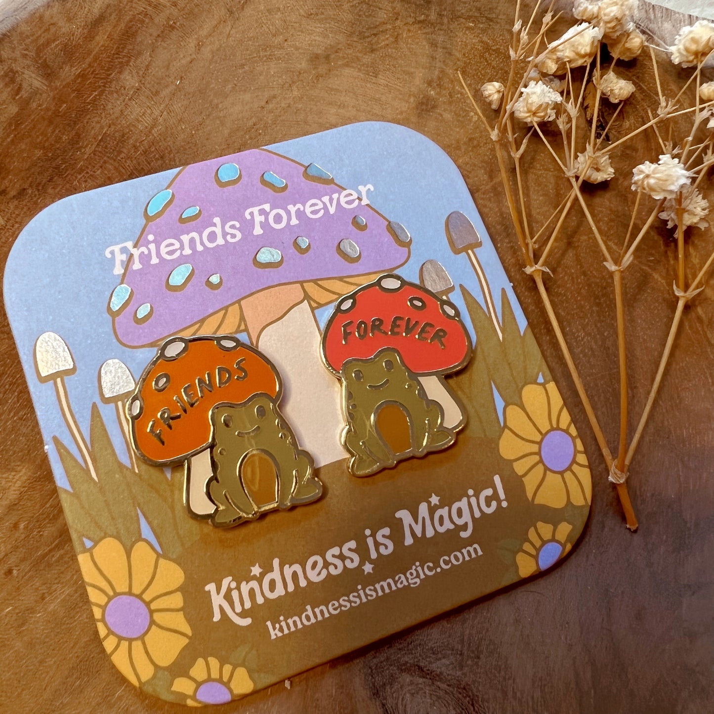 Friends Forever Frog Pins S/2