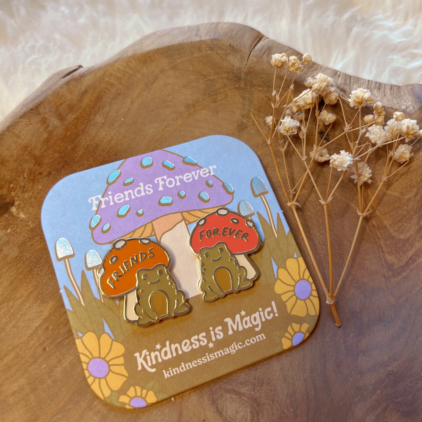 Friends Forever Frog Pins S/2